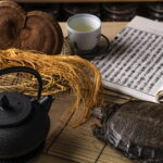 漢方の専門家だからこそできる古典原則に基づいた配合